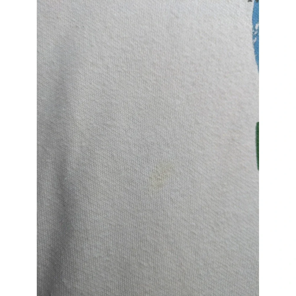 The‎ North Face Hoodie Mens Large White Earth Logo Pullover Sweatshirt Outdoor
